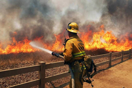 Incendios forestales en Los Ángeles: cómo donar, ser voluntario y ayudar a los afectados